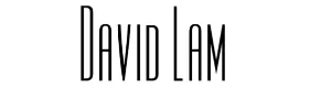 DAVID LAM